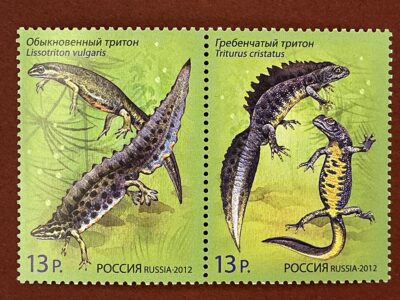 Совместный выпуск Российская Федерация-Республика Беларусь. Фауна. Тритоны полная серия (№1599-1600)